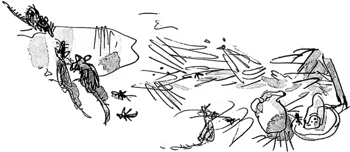 Иллюстрация к книге — Удивительное путешествие Полисены Пороселло [i_059.jpg]