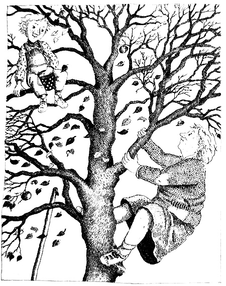 Иллюстрация к книге — Бабушка! - снова кричит Фридер [i_005.jpg]