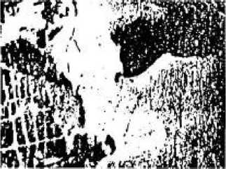 Иллюстрация к книге — Игры для разума. Тренинг креативного мышления [image108.jpg]