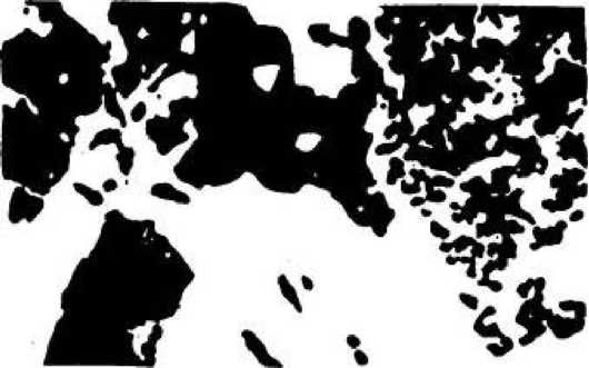 Иллюстрация к книге — Игры для разума. Тренинг креативного мышления [image99.jpg]