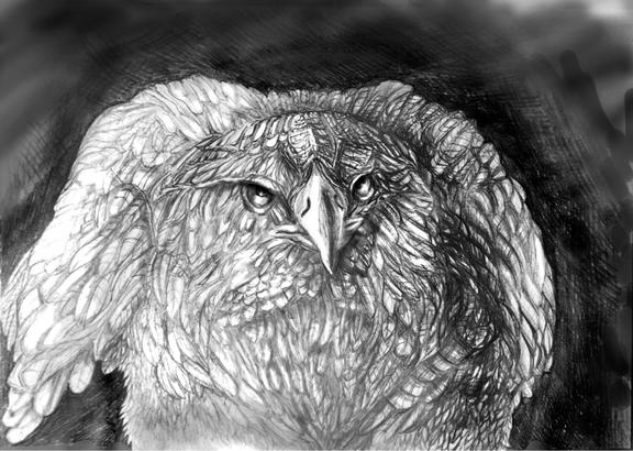 Иллюстрация к книге — Бури [i_003.jpg]