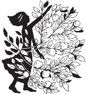 Иллюстрация к книге — 365 ступеней к молодости. Программа молодости по Луизе Хей [_07.jpg]