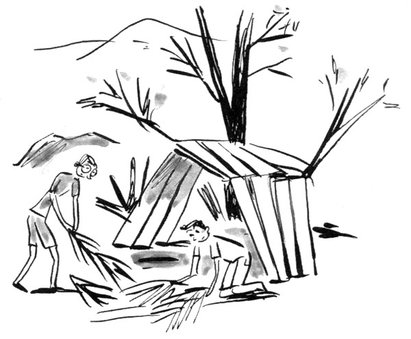 Иллюстрация к книге — Суп из золотых рыбок. Приключения семейки из Шербура [i_014.jpg]