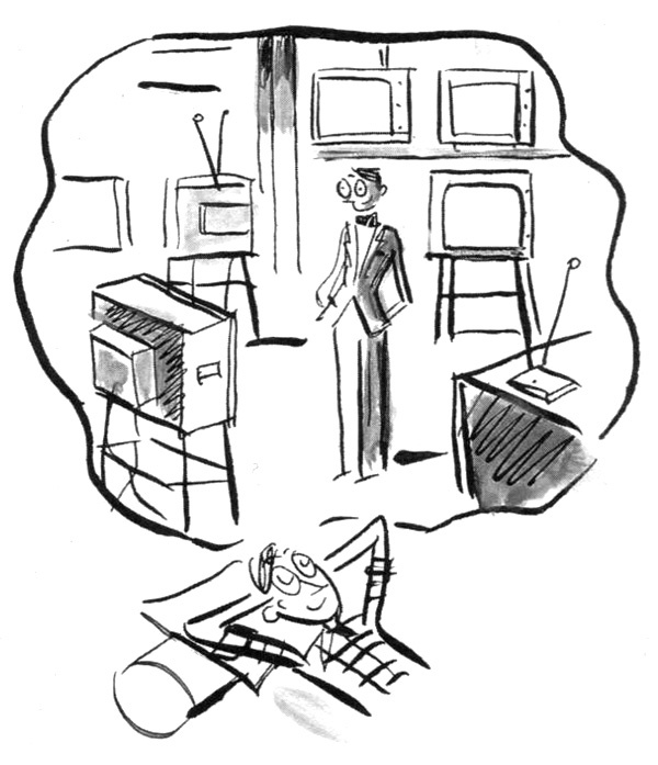 Иллюстрация к книге — Суп из золотых рыбок. Приключения семейки из Шербура [i_015.jpg]