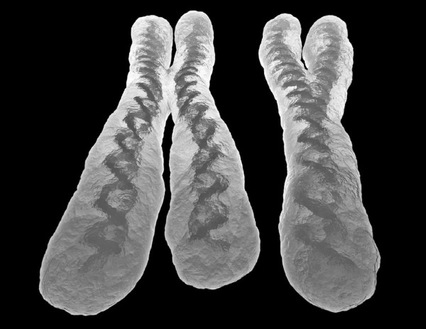 Иллюстрация к книге — Тайны древних цивилизаций [i_033.jpg]