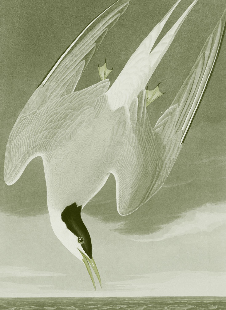 Иллюстрация к книге — Пока нормально [i_002.jpg]