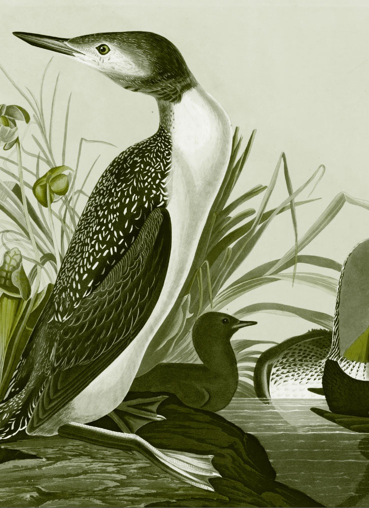 Иллюстрация к книге — Пока нормально [i_009.jpg]