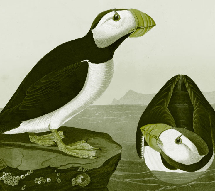 Иллюстрация к книге — Пока нормально [i_018.jpg]