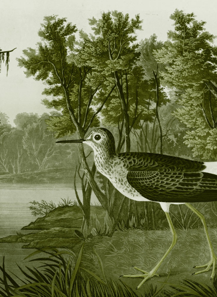 Иллюстрация к книге — Пока нормально [i_033.jpg]