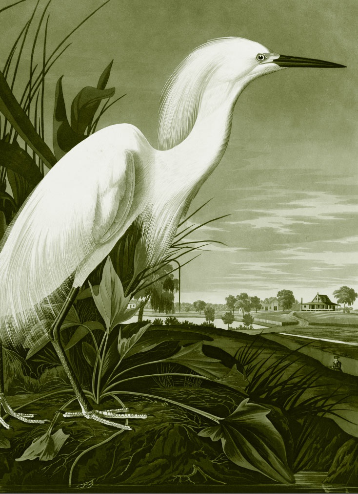 Иллюстрация к книге — Пока нормально [i_039.jpg]