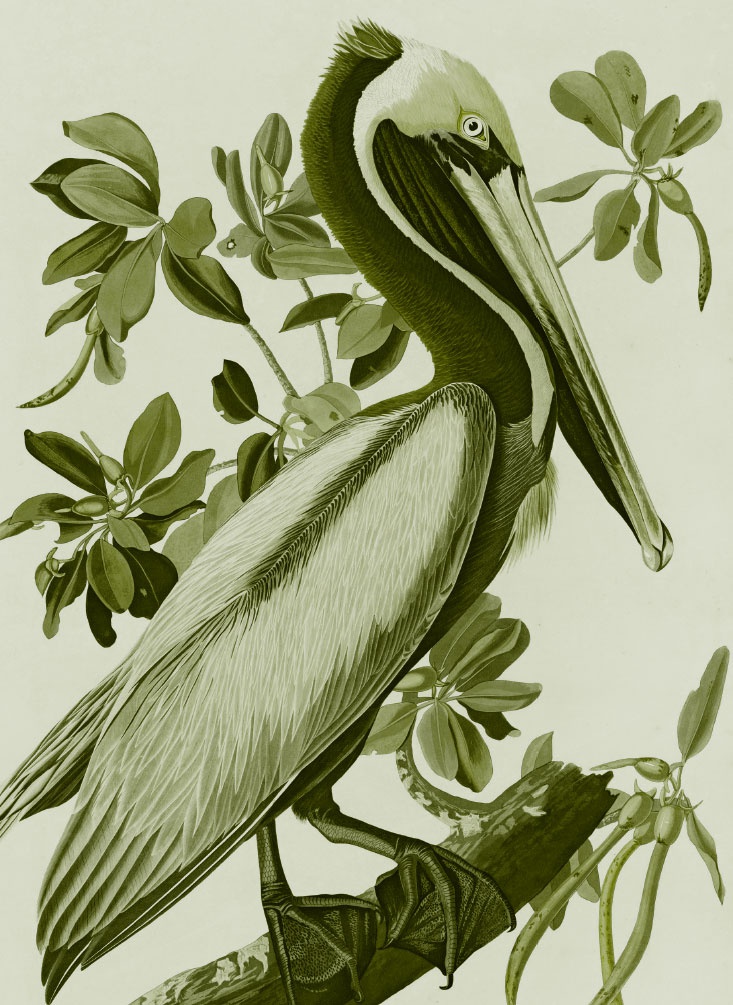 Иллюстрация к книге — Пока нормально [i_055.jpg]