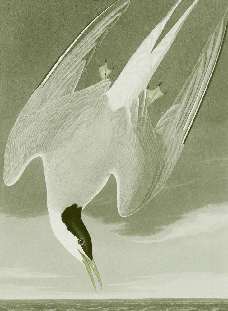 Иллюстрация к книге — Пока нормально [i_068.jpg]