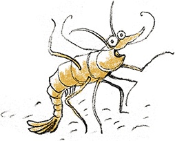 Иллюстрация к книге — Дом П [i_018.jpg]