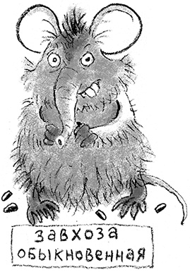 Иллюстрация к книге — Дом П [i_034.jpg]