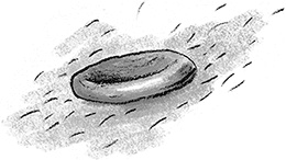 Иллюстрация к книге — Дом П [i_041.jpg]