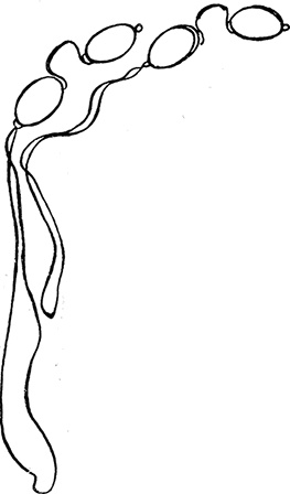 Иллюстрация к книге — Дневник Джанни Урагани [i_092.jpg]