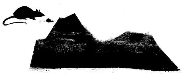 Иллюстрация к книге — Плащ крысолова [kamen.jpg]