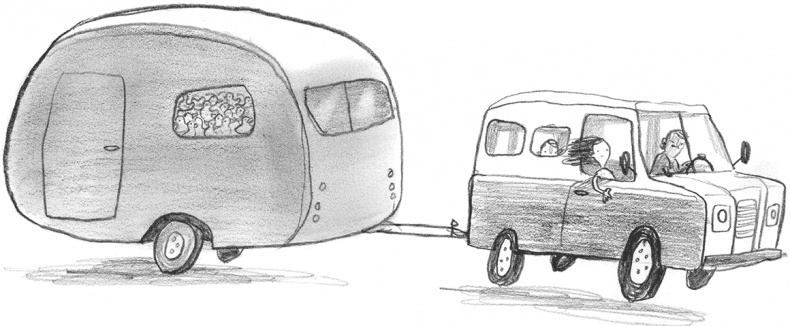 Иллюстрация к книге — Мальчик, который плавал с пираньями [i_025.jpg]