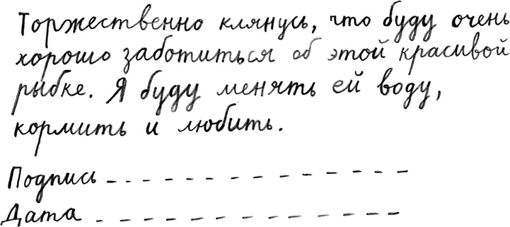 Иллюстрация к книге — Мальчик, который плавал с пираньями [i_028.jpg]