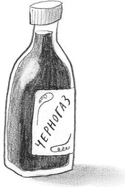 Иллюстрация к книге — Мальчик, который плавал с пираньями [i_036.jpg]