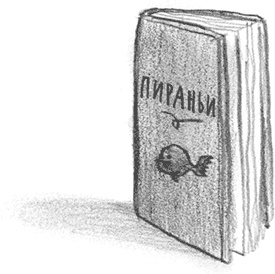 Иллюстрация к книге — Мальчик, который плавал с пираньями [i_054.jpg]