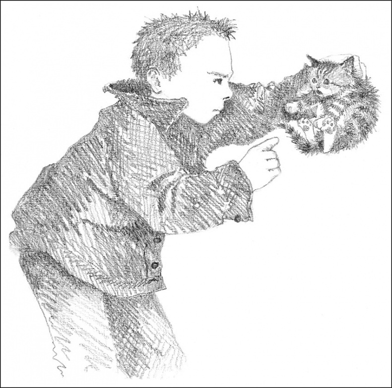 Иллюстрация к книге — Котенок Пушинка, или Рождественское чудо [i_011.jpg]