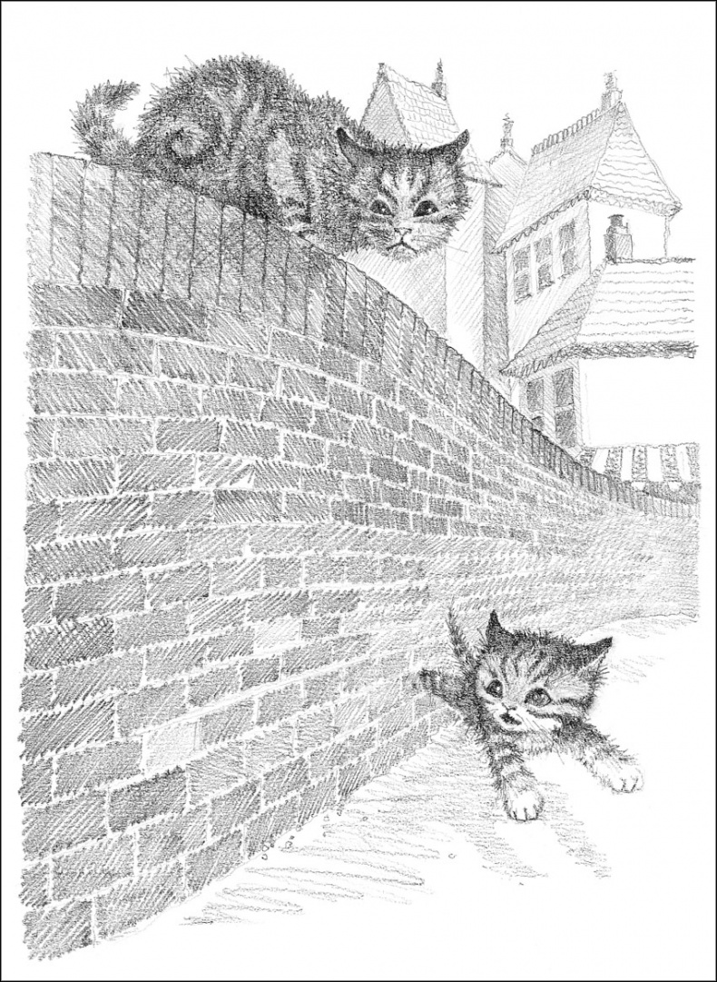 Иллюстрация к книге — Котенок Пушинка, или Рождественское чудо [i_015.jpg]