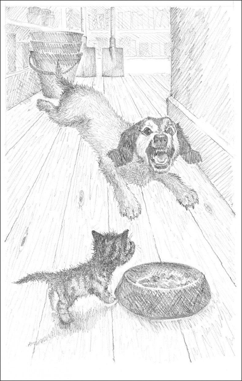 Иллюстрация к книге — Котенок Пушинка, или Рождественское чудо [i_018.jpg]