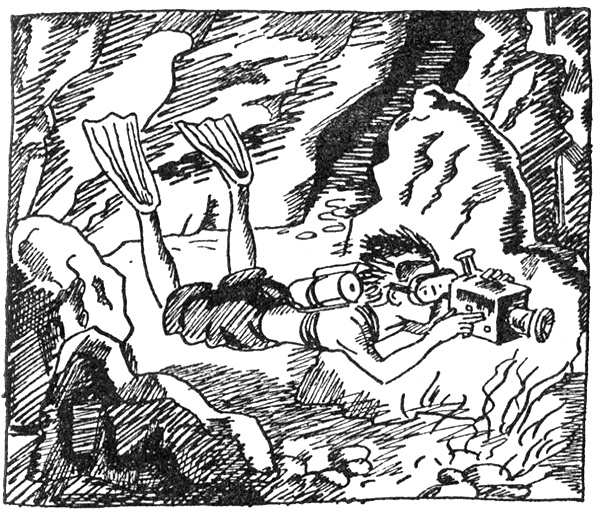 Иллюстрация к книге — Тайны Огонь-горы, или Полосатое лето [i_015.jpg]