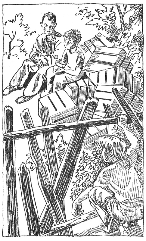 Иллюстрация к книге — Тайны Огонь-горы, или Полосатое лето [i_022.jpg]