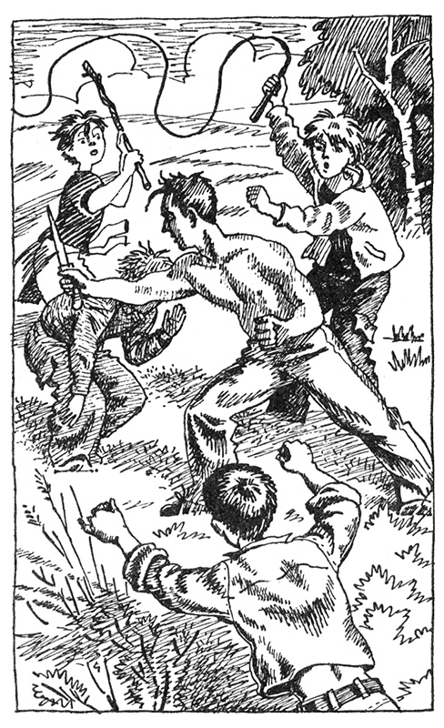 Иллюстрация к книге — Тайны Огонь-горы, или Полосатое лето [i_025.jpg]