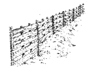 Иллюстрация к книге — Васька [i_027.jpg]