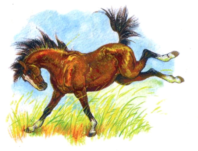 Иллюстрация к книге — Васька [i_032.jpg]