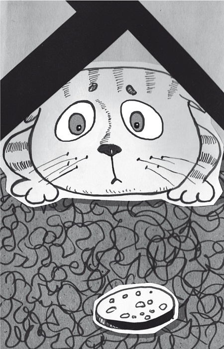 Иллюстрация к книге — Тесты для вашего кота. Измерь IQ домашнего любимца и пойми его психотип [i_010.jpg]