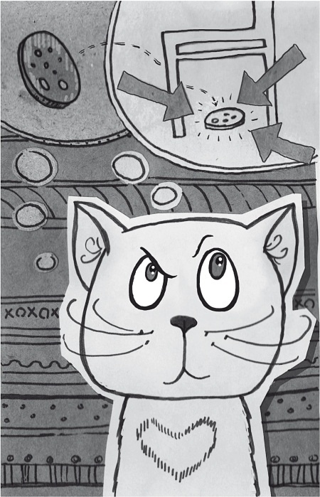 Иллюстрация к книге — Тесты для вашего кота. Измерь IQ домашнего любимца и пойми его психотип [i_013.jpg]