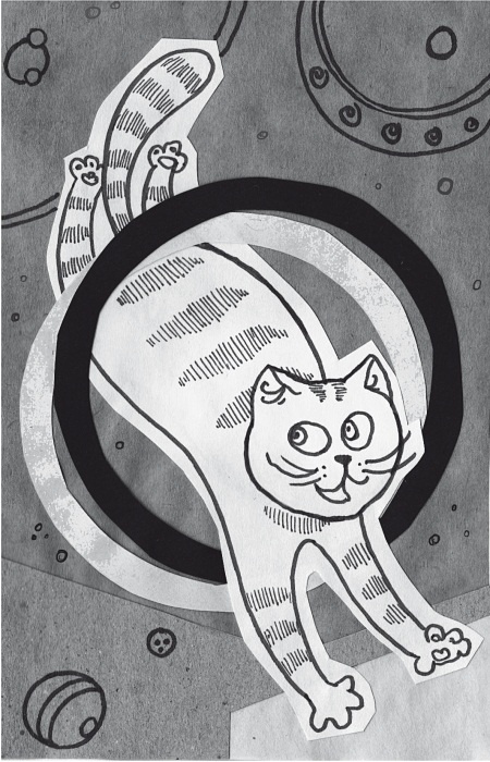 Иллюстрация к книге — Тесты для вашего кота. Измерь IQ домашнего любимца и пойми его психотип [i_015.jpg]