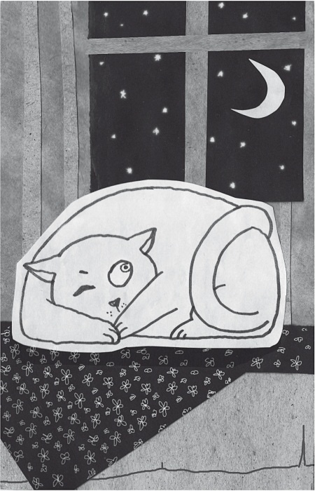 Иллюстрация к книге — Тесты для вашего кота. Измерь IQ домашнего любимца и пойми его психотип [i_026.jpg]