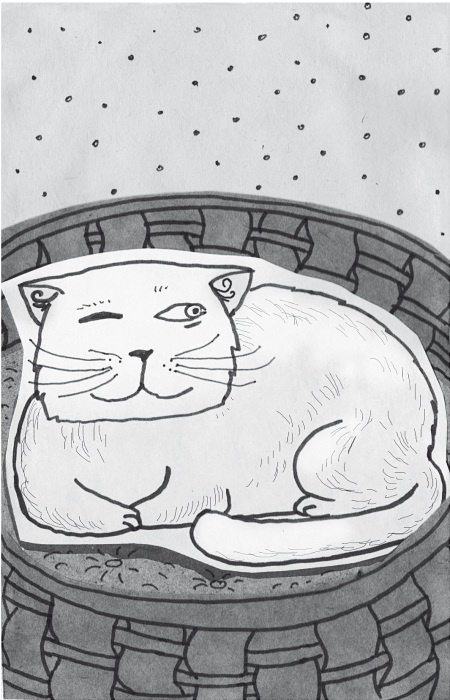 Иллюстрация к книге — Тесты для вашего кота. Измерь IQ домашнего любимца и пойми его психотип [i_035.jpg]