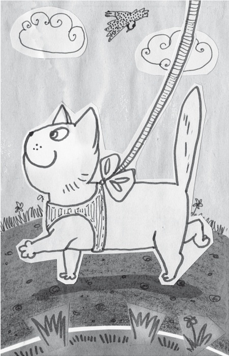 Иллюстрация к книге — Тесты для вашего кота. Измерь IQ домашнего любимца и пойми его психотип [i_052.jpg]