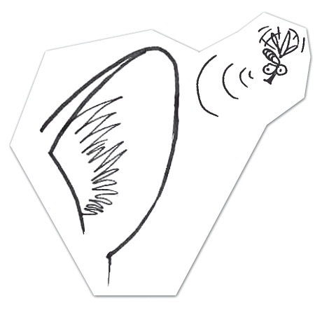 Иллюстрация к книге — Тесты для вашего кота. Измерь IQ домашнего любимца и пойми его психотип [i_074.jpg]