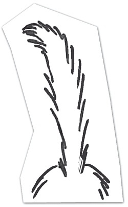 Иллюстрация к книге — Тесты для вашего кота. Измерь IQ домашнего любимца и пойми его психотип [i_079.jpg]