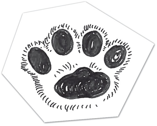 Иллюстрация к книге — Тесты для вашего кота. Измерь IQ домашнего любимца и пойми его психотип [i_084.jpg]