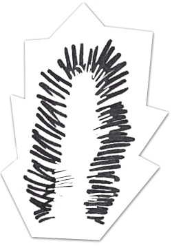 Иллюстрация к книге — Тесты для вашего кота. Измерь IQ домашнего любимца и пойми его психотип [i_100.jpg]