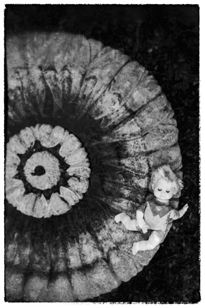 Иллюстрация к книге — Дом темных загадок [i_002.jpg]