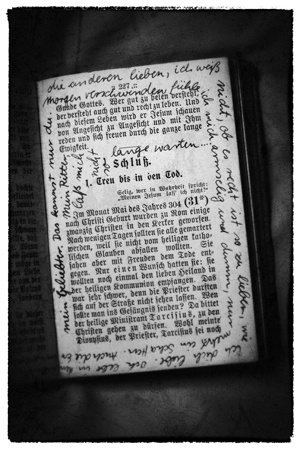 Иллюстрация к книге — Дом темных загадок [i_010.jpg]