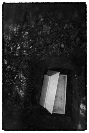 Иллюстрация к книге — Дом темных загадок [i_014.jpg]