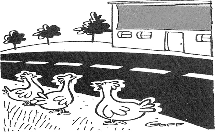 Иллюстрация к книге — Правила [i_016.jpg]