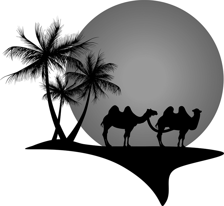 Иллюстрация к книге — Подарок Сахары [i_006.jpg]