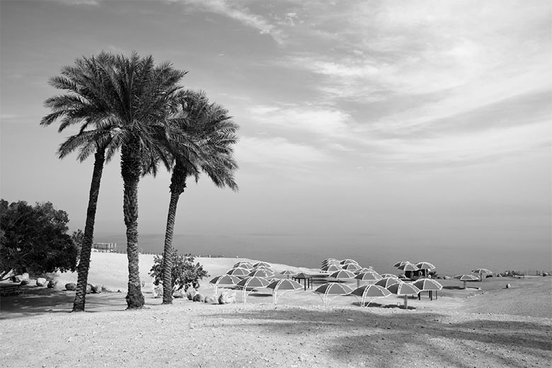 Иллюстрация к книге — Подарок Сахары [i_018.jpg]