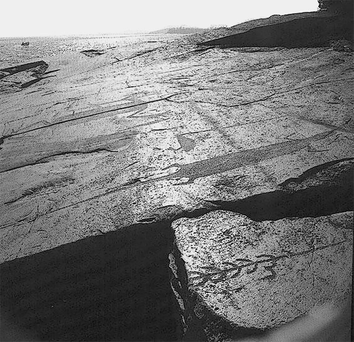 Иллюстрация к книге — Русь колыбельная. Северная прародина славян. Арктида, Гиперборея и Древняя Русь [i_004.jpg]